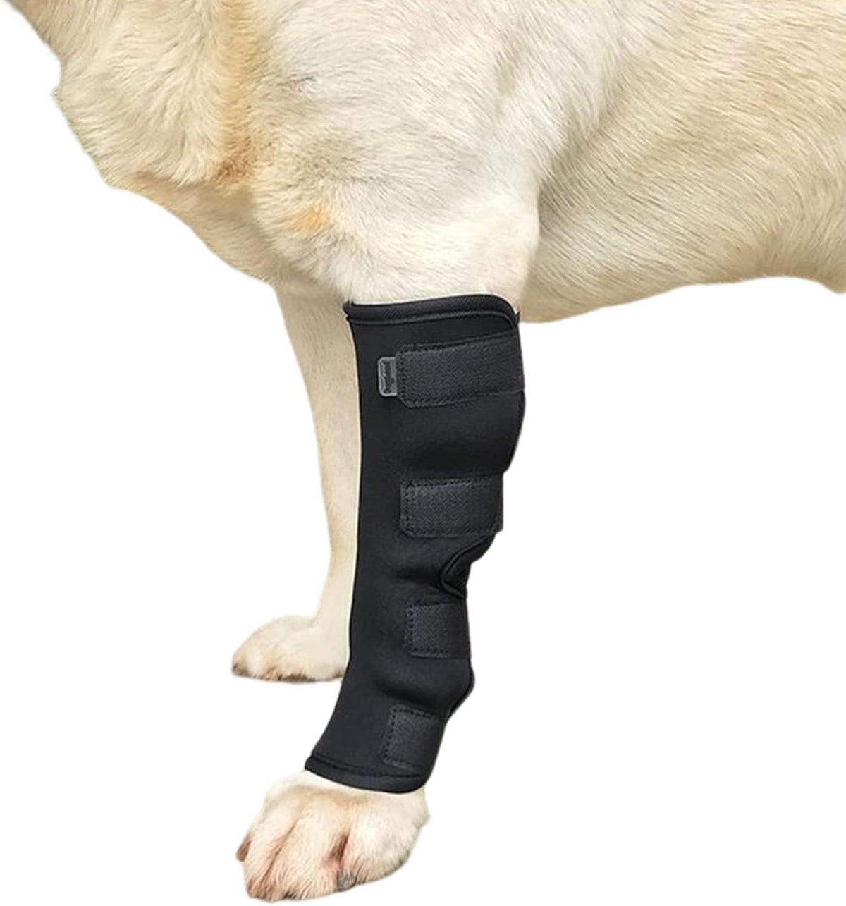 Hock Joint Support Brace