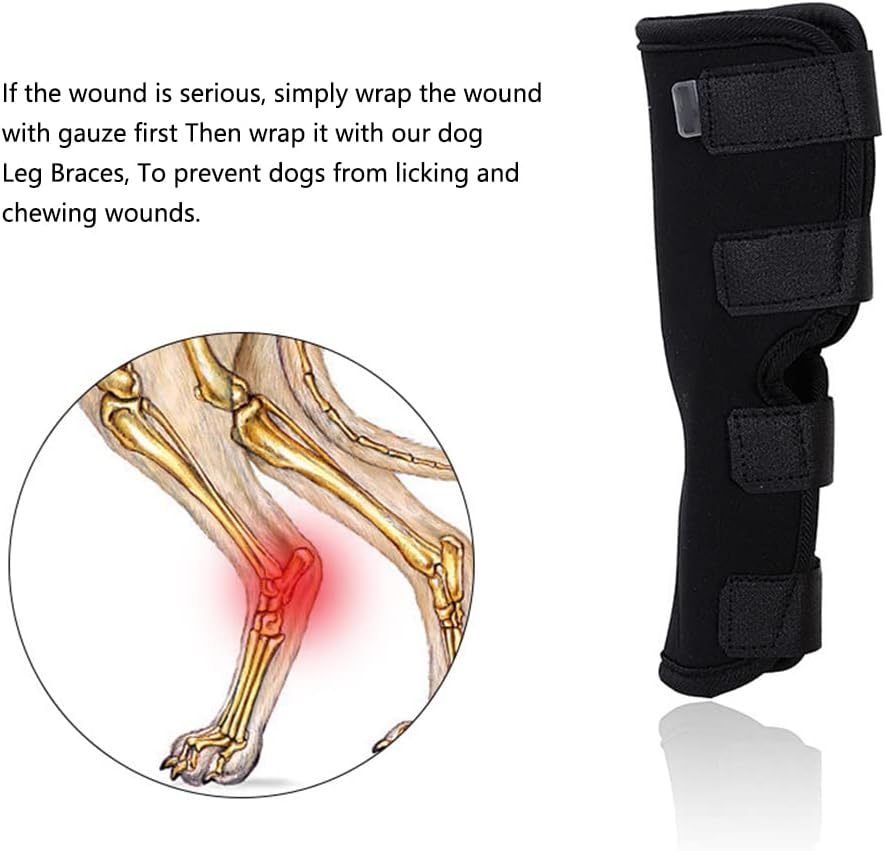 Hock Joint Support Brace