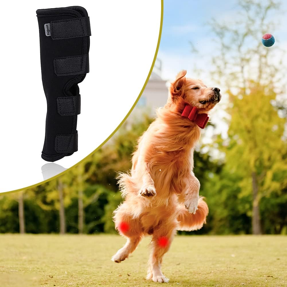 Hock Joint Support Brace