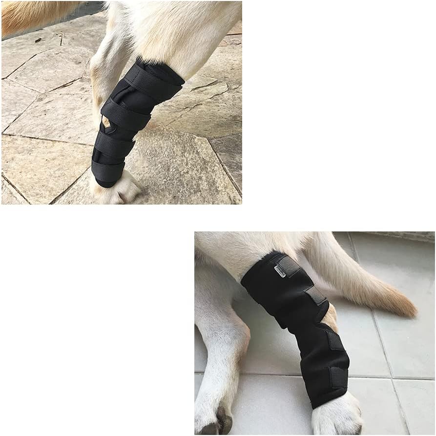 Hock Joint Support Brace