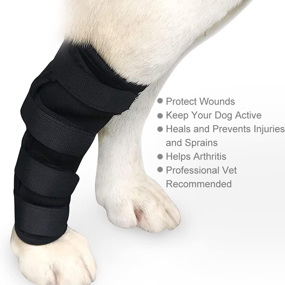 Hock Joint Support Brace